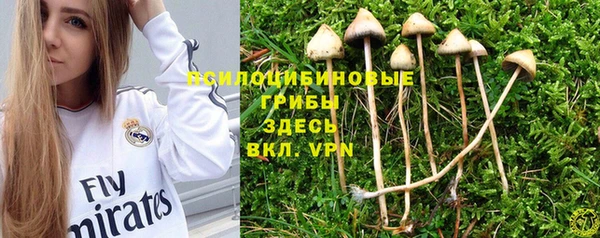 ALPHA PVP Абаза